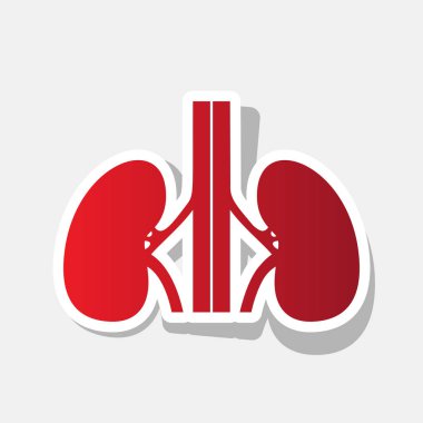 İnsan kiddneys işareti. Vektör. Açık gri renkli dış kontur ve gri gölge ile yeni yıl kırmızımsı simgesi.