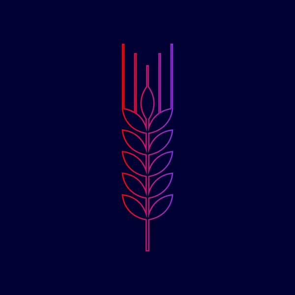 Ilustração do sinal de trigo. Spike. Spica. Vector. Ícone de linha com gradiente de cores vermelhas a violetas no fundo azul escuro . — Vetor de Stock