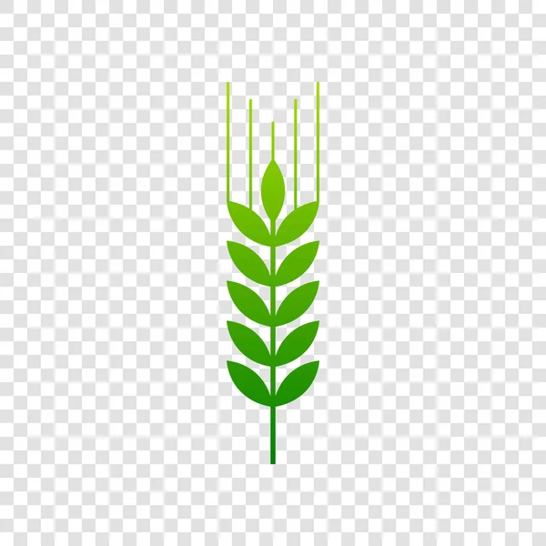 Illustrazione segno di grano. Spike. Spica. Vettore. Icona del gradiente verde su sfondo trasparente . — Vettoriale Stock
