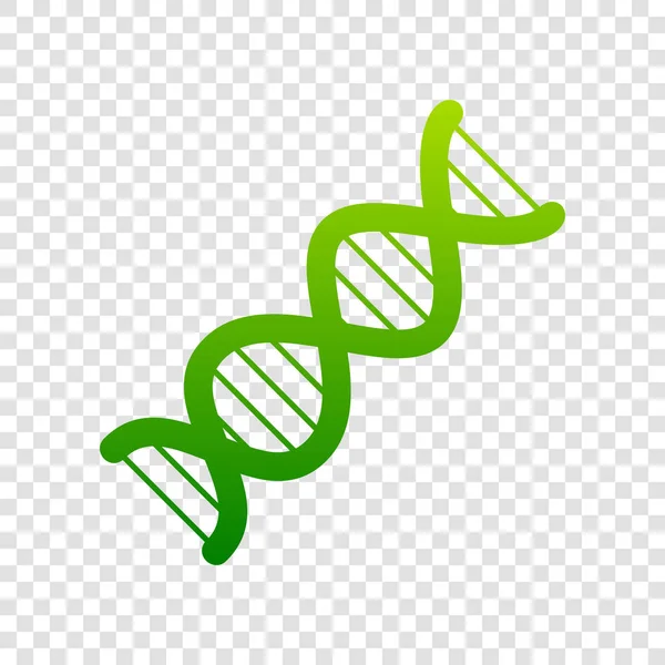 Het Dna-teken. Vector. Groen verlopende pictogram op transparante achtergrond. — Stockvector