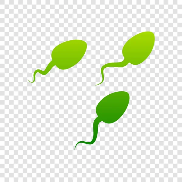 Sperms 서명 그림. 벡터입니다. 투명 한 배경에 녹색 그라데이션 아이콘. — 스톡 벡터