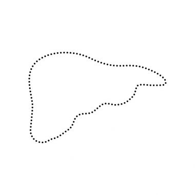 İnsan anatomisi illüstrasyon. Karaciğer işareti. Vektör. Beyaz zemin üzerine siyah noktalı simgesi. İzole.