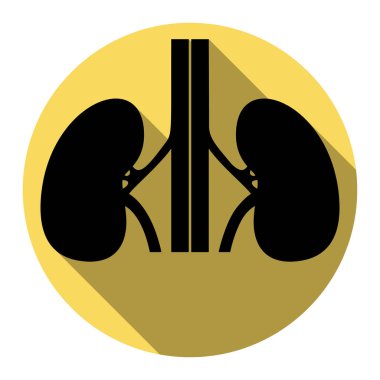 İnsan kiddneys işareti. Vektör. Düz siyah simgesi beyaz arka plan ile Kraliyet sarı daire üzerinde düz gölge ile. İzole.