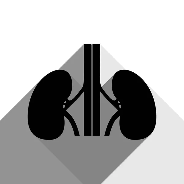 Menschliche Anatomie. Nieren. Vektor. schwarzes Symbol mit zwei flachen grauen Schatten auf weißem Hintergrund. — Stockvektor