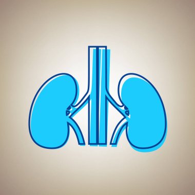 İnsan anatomisi. Böbrekler işareti. Vektör. Bej renkli arka plan üzerinde arıza mavi dağılımı ile gökyüzü mavi simge.