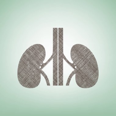 İnsan anatomisi. Böbrekler işareti. Vektör. Işık spot Merkezi yeşil zemin üzerine kahverengi keten simgesi.