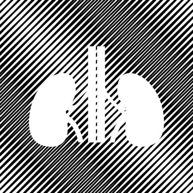 İnsan anatomisi. Böbrekler işareti. Vektör. Simge. Hareli backgro delik