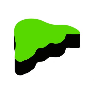 İnsan anatomisi. Karaciğer işareti. Vektör. Siyah tarafı ile 3D simge yeşil