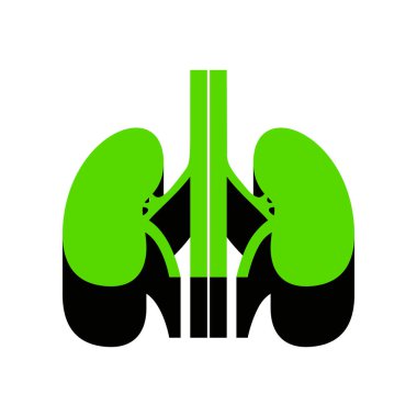 İnsan anatomisi. Böbrekler işareti. Vektör. Siyah si ile 3D simge yeşil