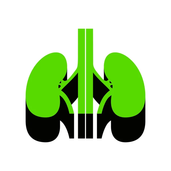 Anatomía humana. Signo de riñones. Vector. Icono verde 3d con negro si — Archivo Imágenes Vectoriales