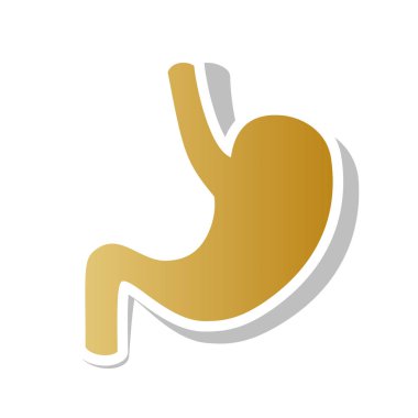 İnsan anatomisi. Mide işareti. Vektör. Degrade simge w ile