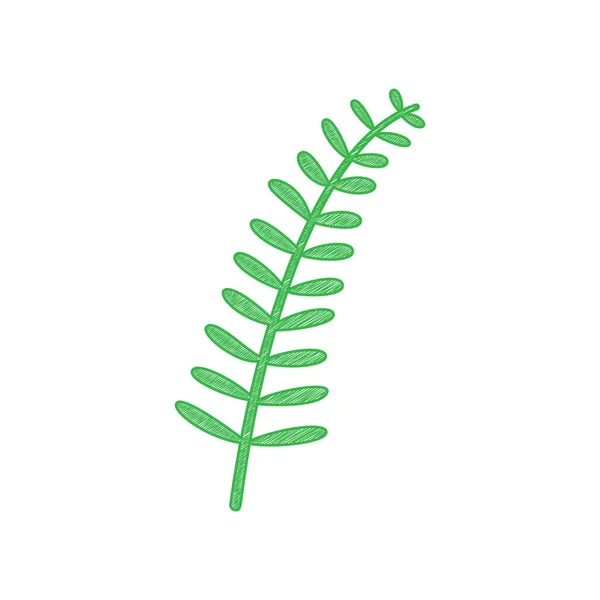 Znak Gałązki Oliwnej Zielona Ikona Bazgroły Solidnym Konturem Białym Tle — Wektor stockowy