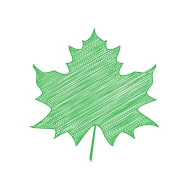 Akçaağaç yaprağı işareti. Beyaz arkaplan üzerine katı konturlu yeşil karalama Simgesi.