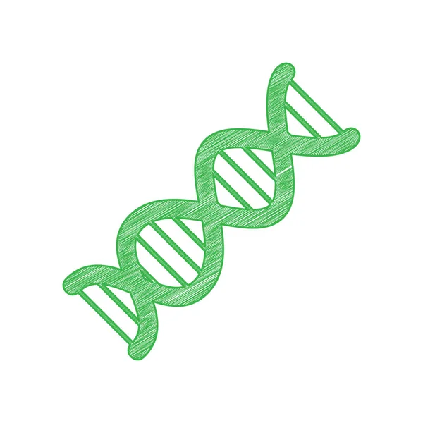 Het Dna Teken Groene Krabbel Pictogram Met Solide Contour Witte — Stockvector