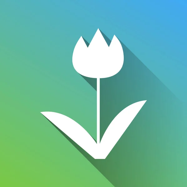 Tulpenschild Weiße Ikone Mit Grauem Schatten Auf Grünem Bis Blauem — Stockvektor