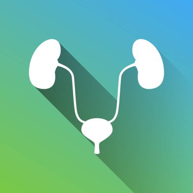 Ürojenital sistem işareti. Gri renkli beyaz simge, yeşilden maviye sınırsız gölge bırakıyor.