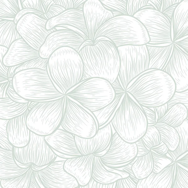 Flower pattern on white — Stock Vector