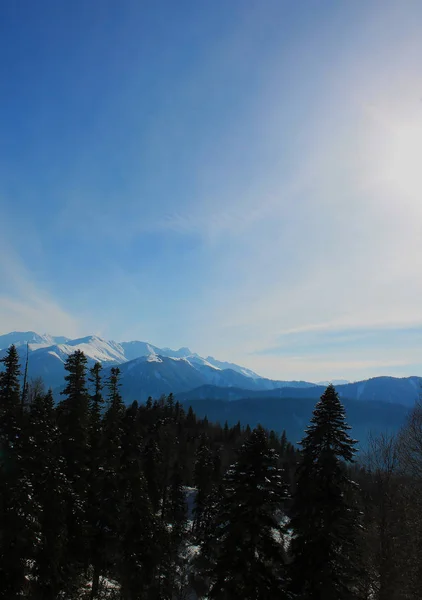 雪に覆われた山々 — ストック写真