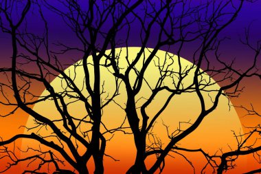 Ufuk ötesine güneş batar.