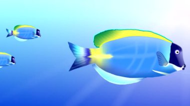 Balık sürüsü açık suda yüzen.