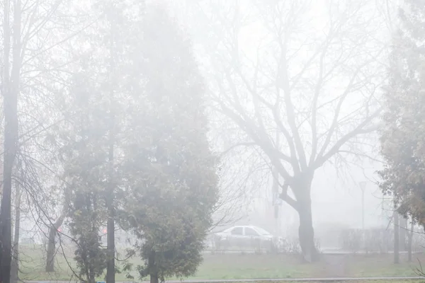 Nevoeiro nas ruas da cidade . — Fotografia de Stock