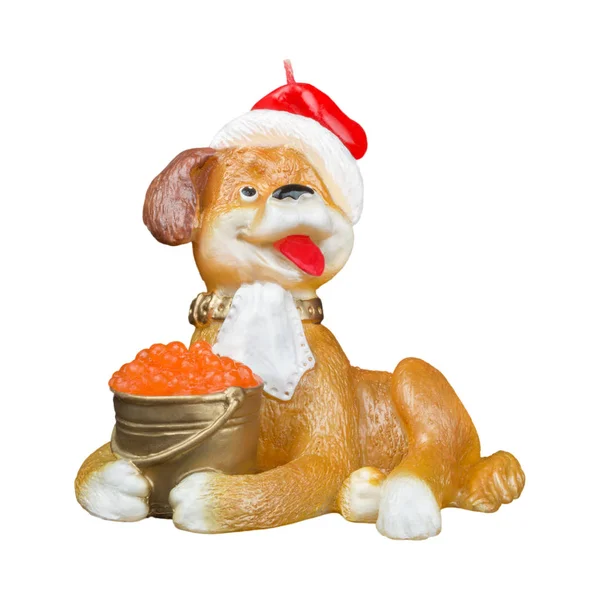 Kırmızı köpek bir kova kırmızı havyar ile kırmızı bere içinde.