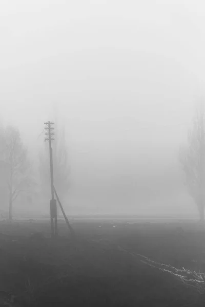 Silhouettes of a tree and lamppost in the fog. — Stock Photo, Image
