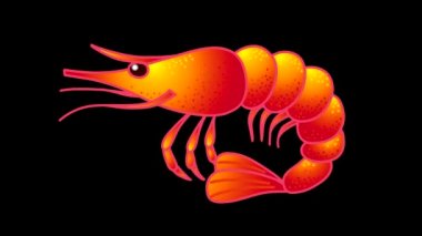 Hareket eden dokunaçları olan hareketli karides desenli siyah ve beyaz parlaklık maskeli video düzenleme sırasında arkaplanı kesmek için. Döngü videosu.