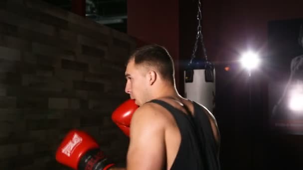 Boxeador apostando por un saco de boxeo en entrenamiento sobre fondo negro — Vídeos de Stock