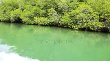 Nehirde rafting kızlar