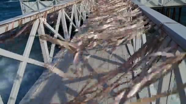 Tape op de brug — Stockvideo
