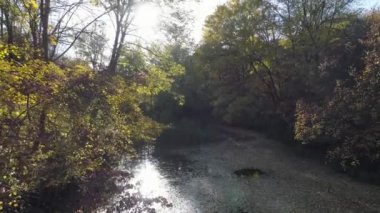 gün batımında epik nehir tropikal lagün 4 k Arial dron görüntüleri.