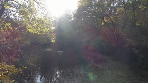 4k Arial drone footage of epic river tropical lagoon at sunset. — Stock Video