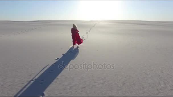 AÉRIAL : Femme marchant dans le désert 
