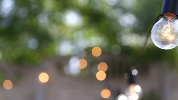 Light bulbs garland close-up. Elektrische lamp shine opknoping op de muur als decoratie voor vakantie rek focus macro close-up — Stockvideo