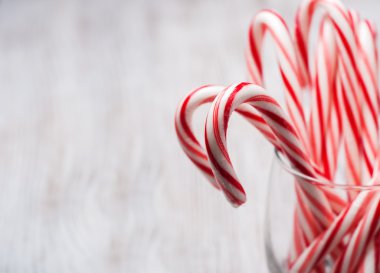 Noel candy ile cam köpekler