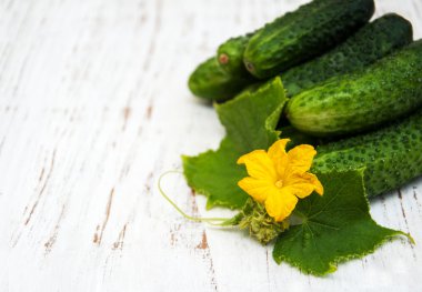 Masada taze salatalık var.