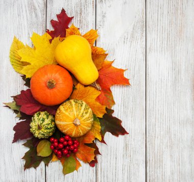 kabak ve yaprakları