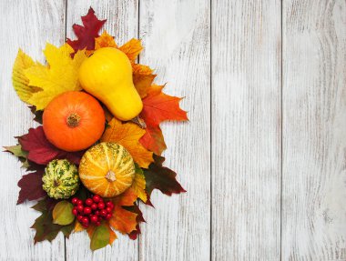 kabak ve yaprakları