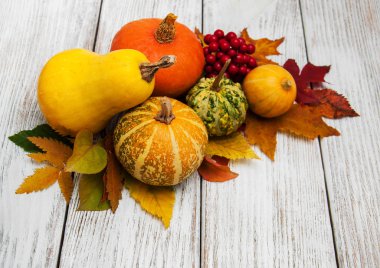 kabak ve yaprakları