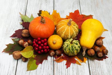 kabak ve yaprakları