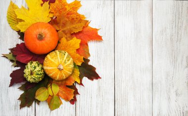 kabak ve yaprakları