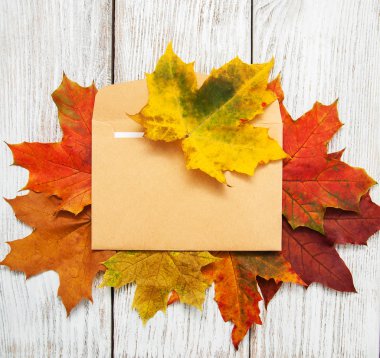 sonbahar yaprakları ve örtmek