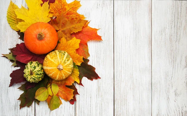 kabak ve yaprakları