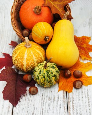 kabak ve yaprakları