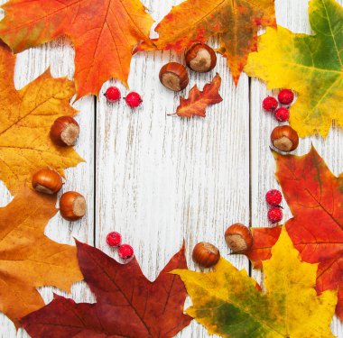 Renkli sonbahar yaprakları ve fındık