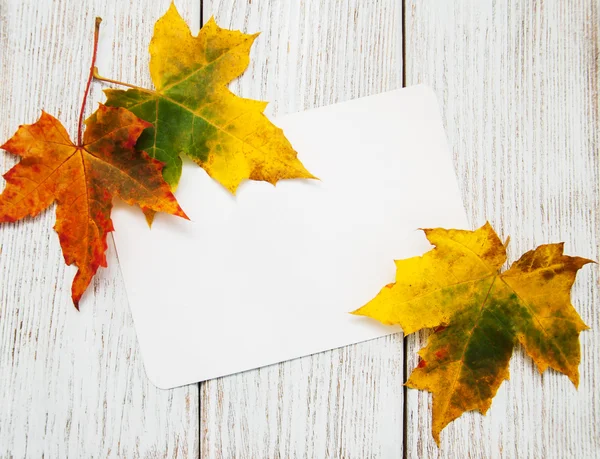 Hojas coloridas de otoño con tarjeta — Foto de Stock