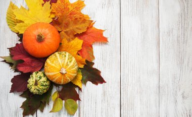 kabak ve yaprakları