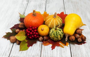kabak ve yaprakları