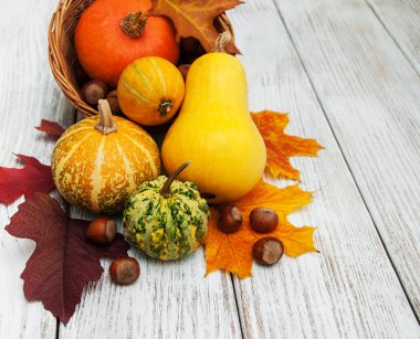 kabak ve yaprakları